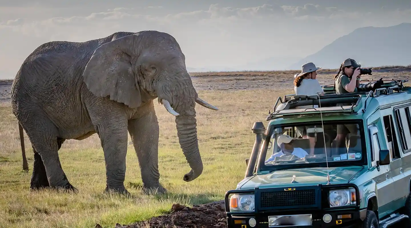 9 Days Tanzania Luxury Safari Experience